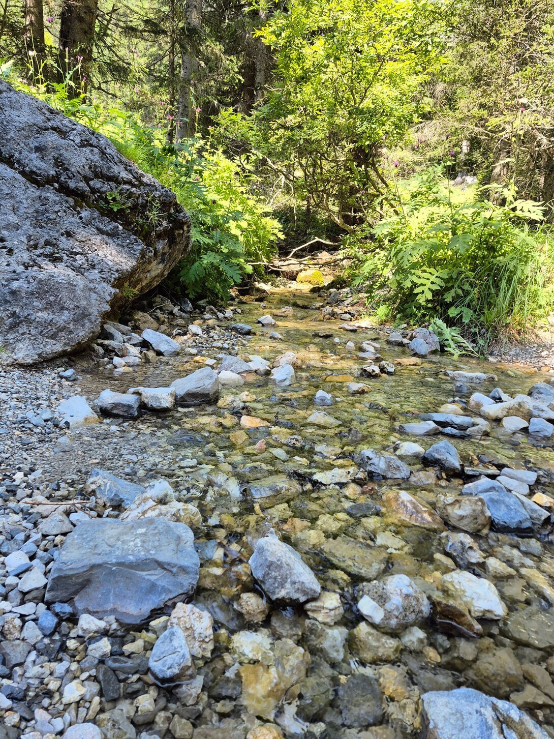 Esterno di Water Nest immerso nel verde in una zona tranquilla